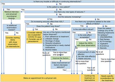 Decision Making on Telemedicine for Patients With Epilepsy During the Coronavirus Disease 2019 (COVID-19) Crisis